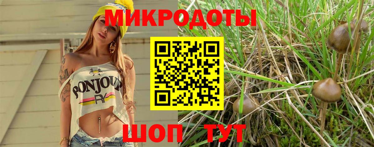 Псилоцибиновые грибы MAGIC MUSHROOMS Майский